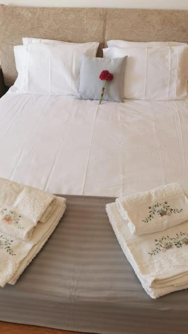 Amazing Lodge By The Ocean - Fully Equipped! Ericeira Εξωτερικό φωτογραφία