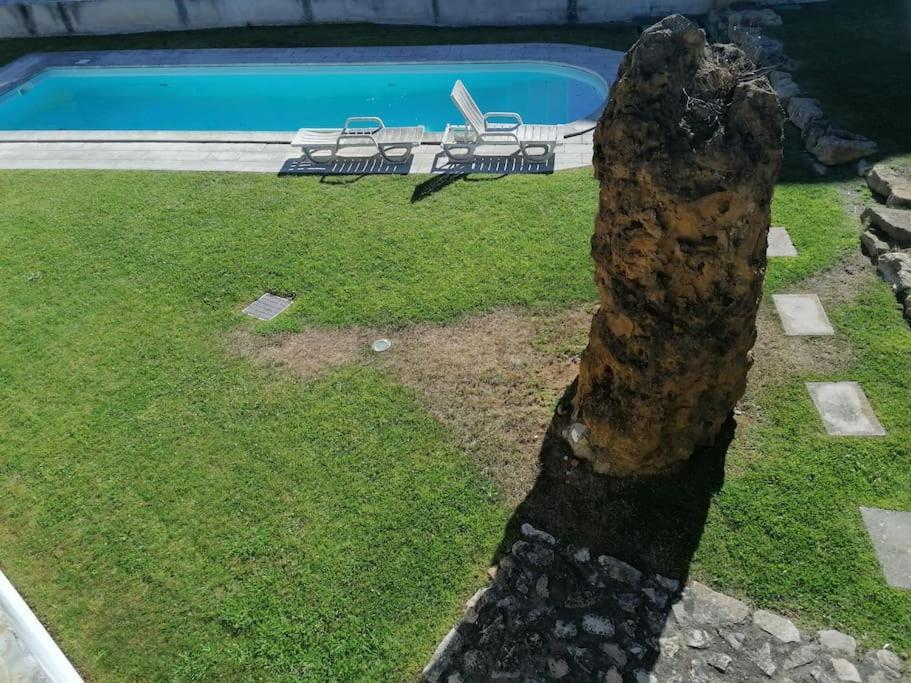 Amazing Lodge By The Ocean - Fully Equipped! Ericeira Εξωτερικό φωτογραφία